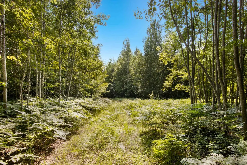Aero Park Drive Kearney Township, MI 49615