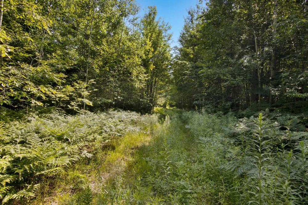 Aero Park Drive Kearney Township, MI 49615