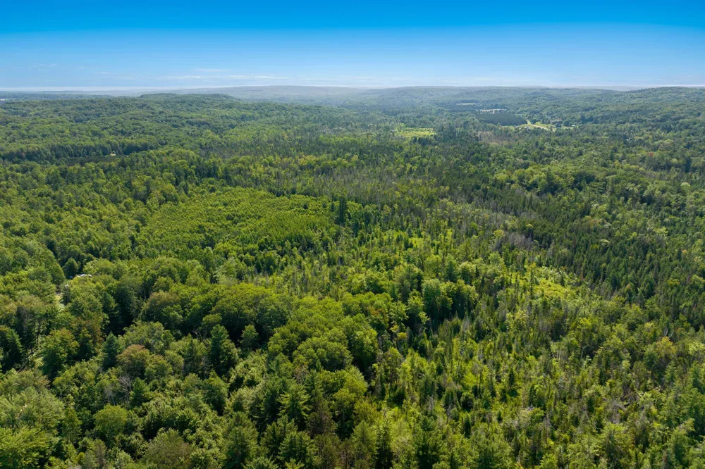 Aero Park Drive Kearney Township, MI 49615