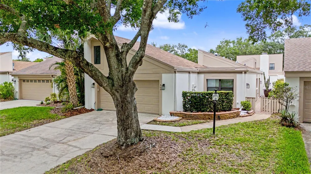 360 S WOODLANDS DRIVE Oldsmar, FL 34677