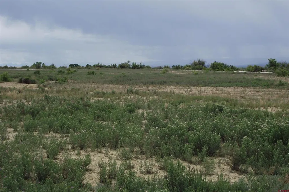 3 1900 ROAD Delta, CO 81416