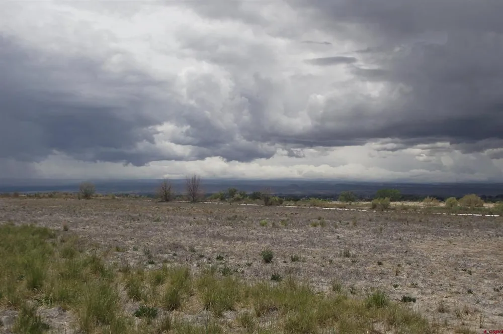 2 1900 ROAD Delta, CO 81416
