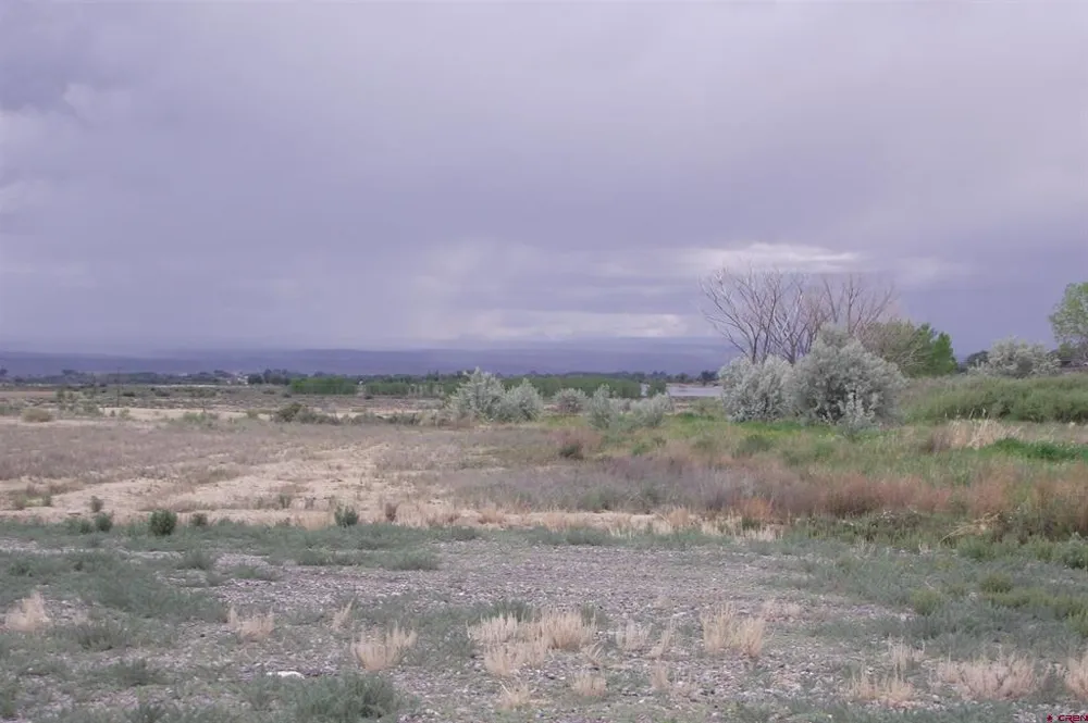 4 1900 ROAD Delta, CO 81416