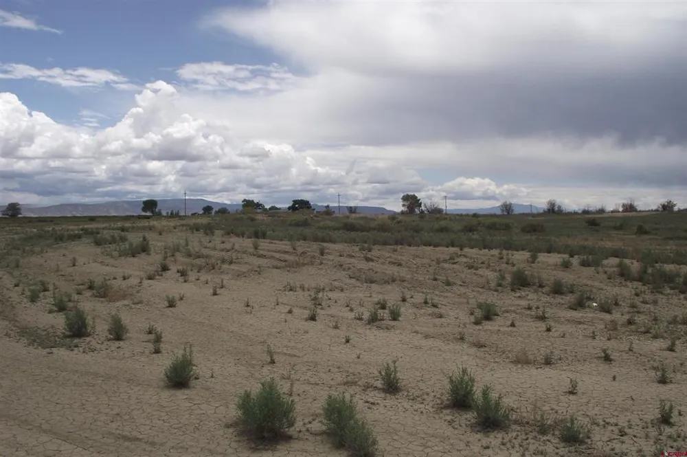 1 1900 ROAD Delta, CO 81416