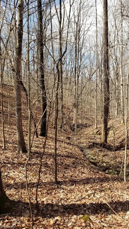 833 Calahaln Road Mocksville, NC 27028