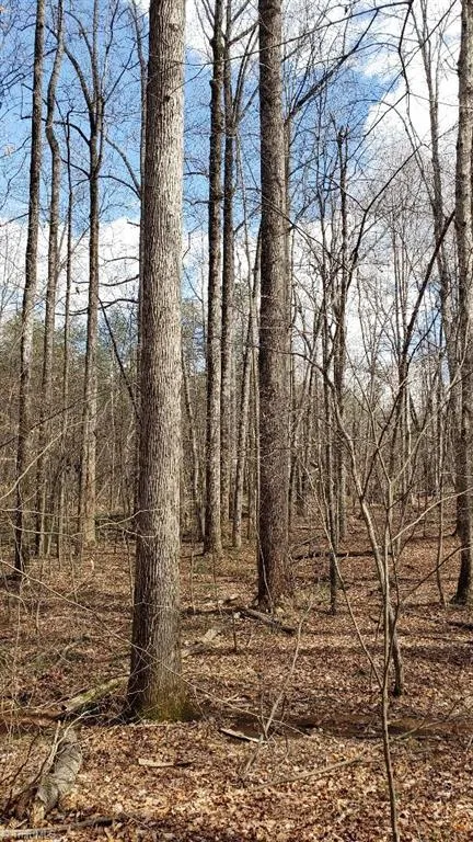 833 Calahaln Road Mocksville, NC 27028
