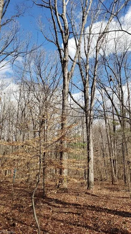833 Calahaln Road Mocksville, NC 27028
