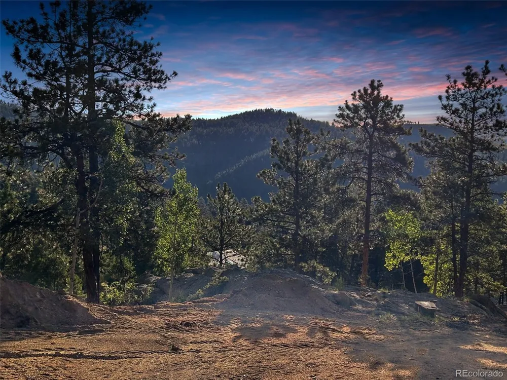 4501 County Road 72 Bailey, CO 80421
