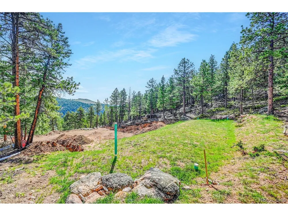 4501 County Road 72 Bailey, CO 80421