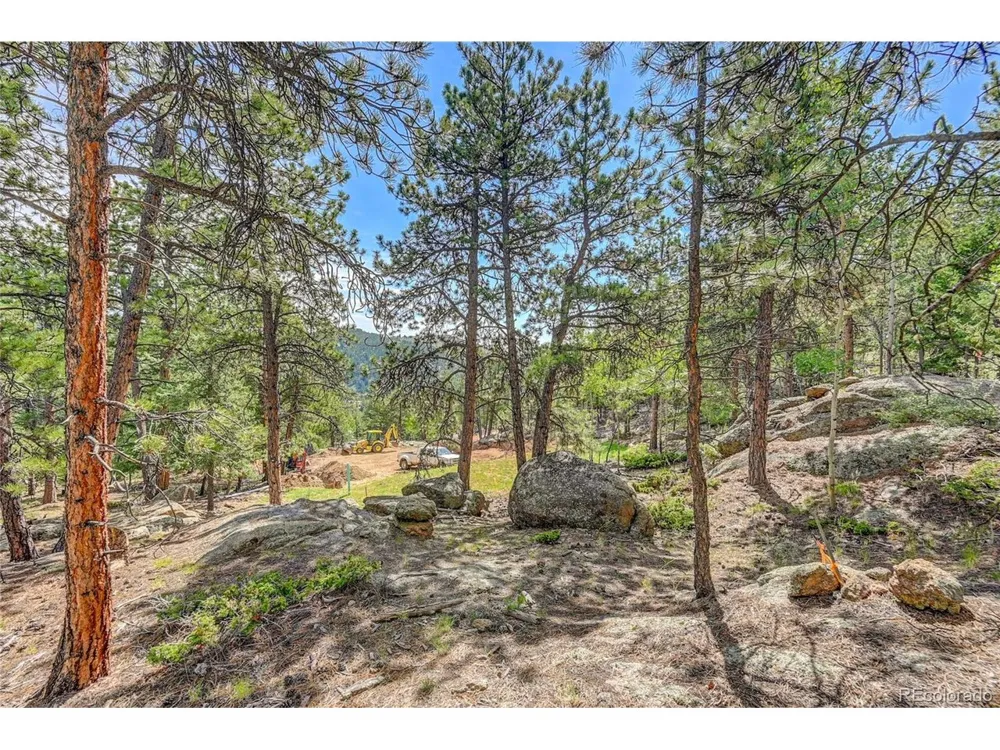 4501 County Road 72 Bailey, CO 80421