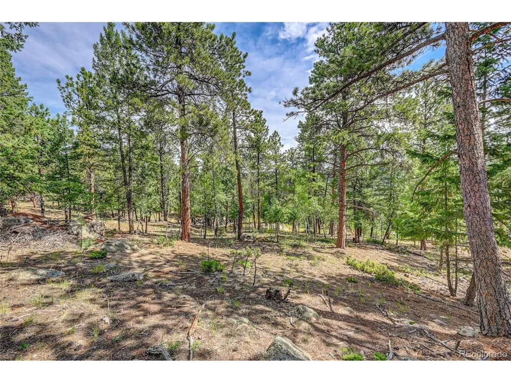 4501 County Road 72 Bailey, CO 80421