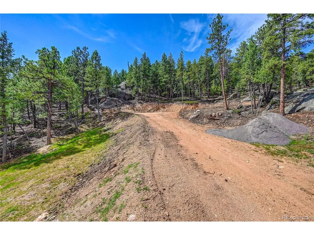 4501 County Road 72 Bailey, CO 80421