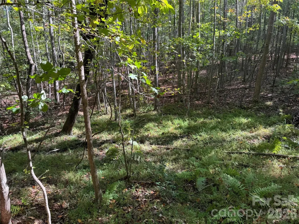 0 BISCOE ROAD Troy, NC 27371