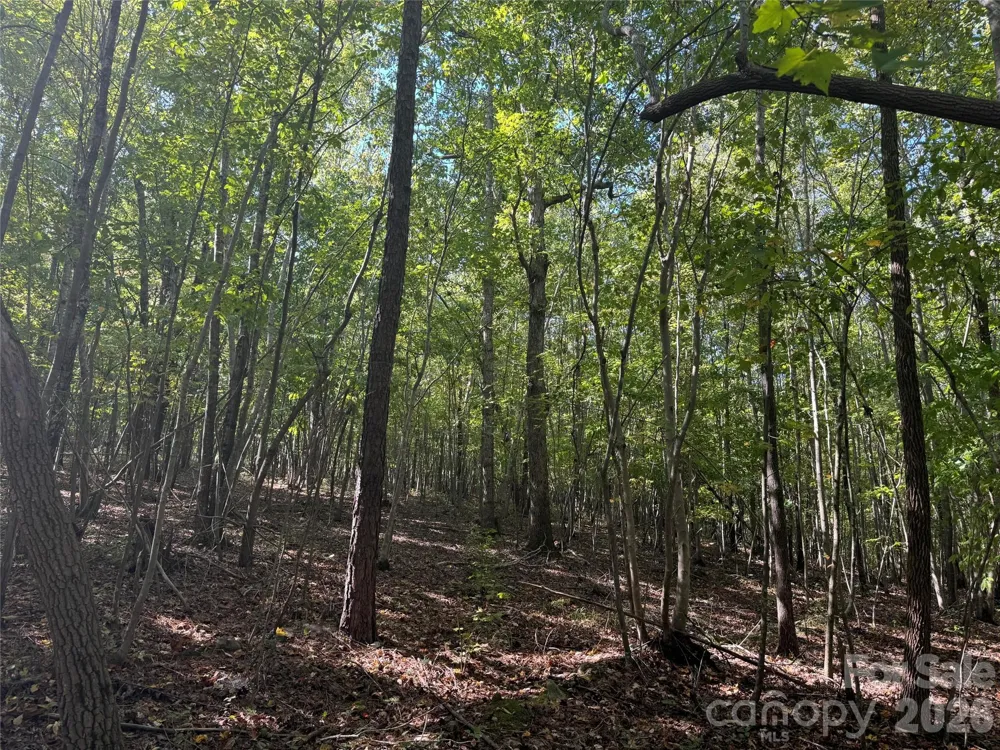0 BISCOE ROAD Troy, NC 27371