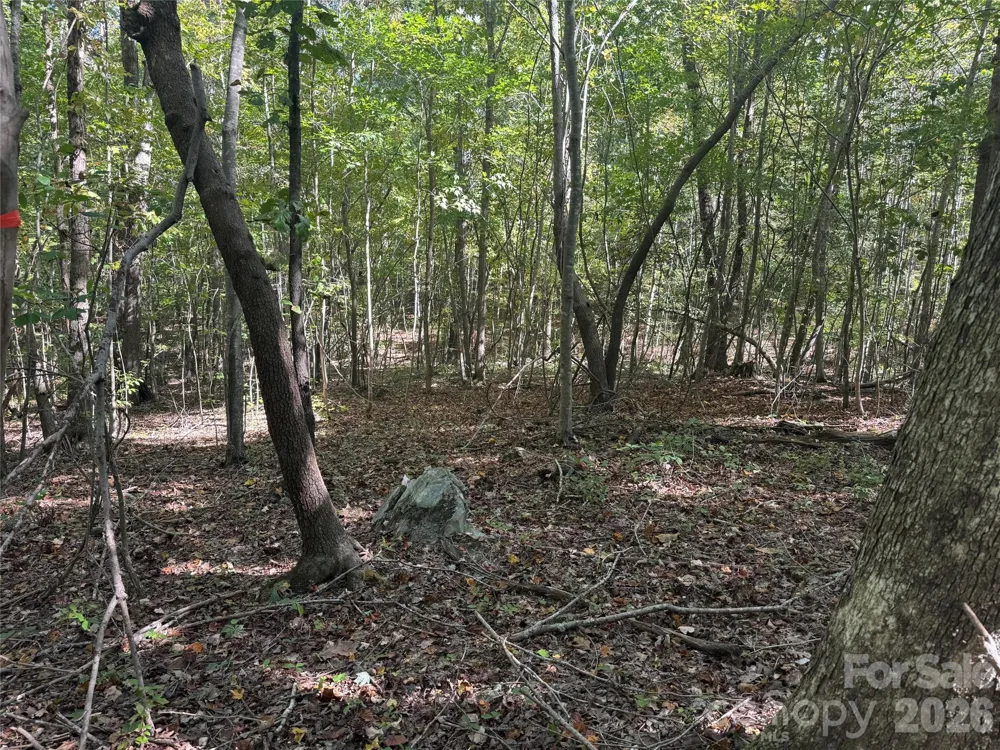 0 BISCOE ROAD Troy, NC 27371