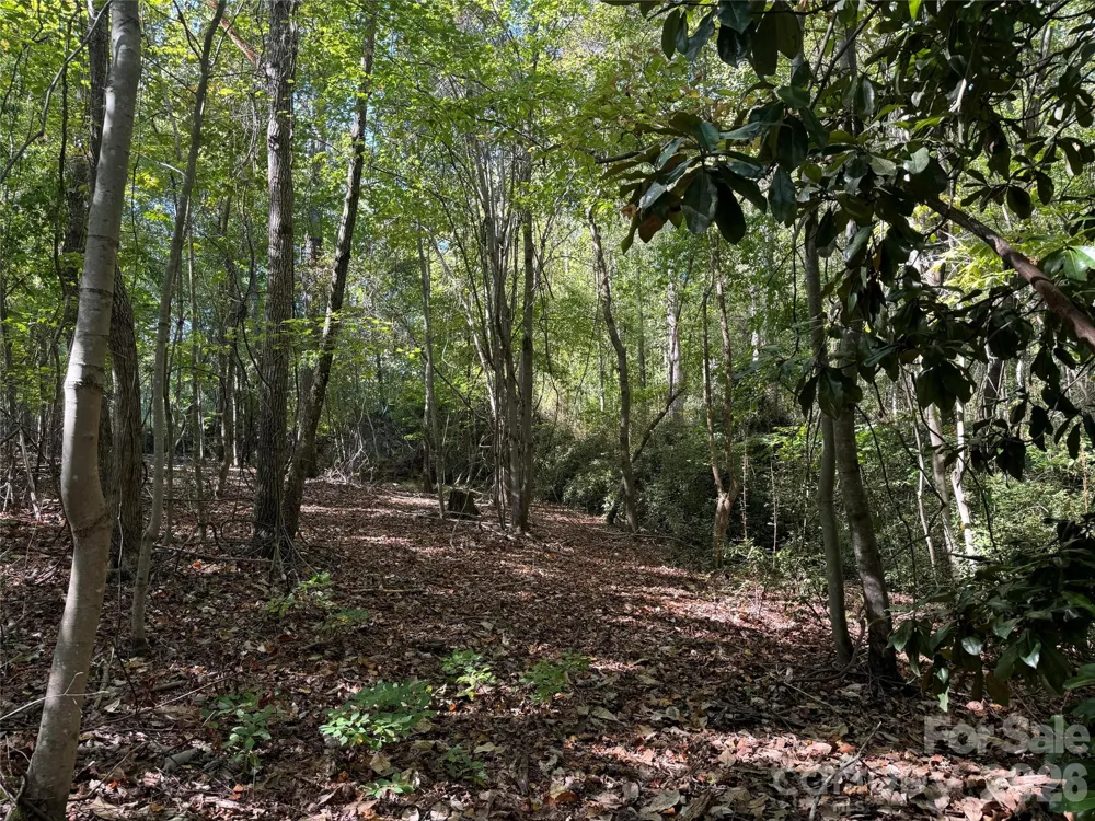 0 BISCOE ROAD Troy, NC 27371