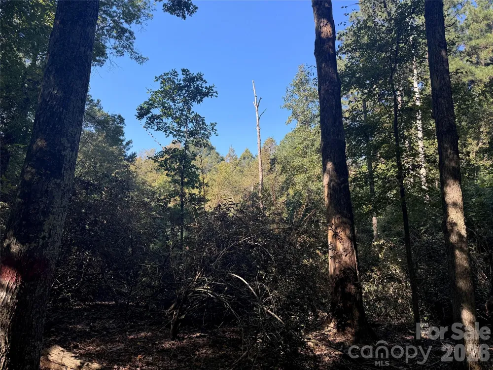 0 BISCOE ROAD Troy, NC 27371