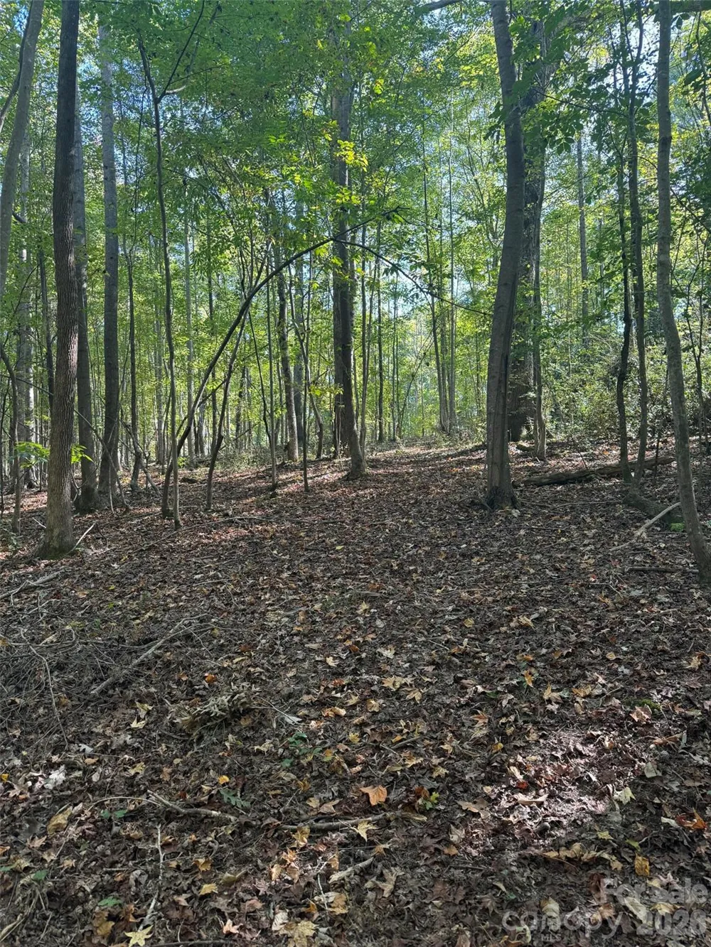 0 BISCOE ROAD Troy, NC 27371