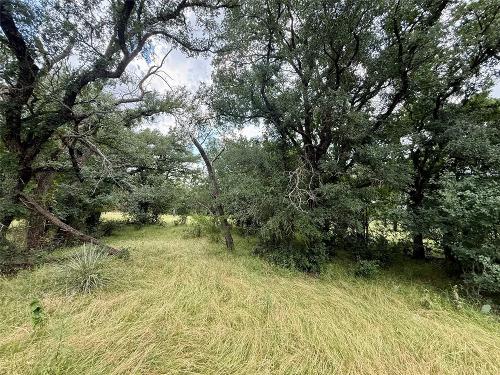 2840 County Road 404 Early, TX 76802