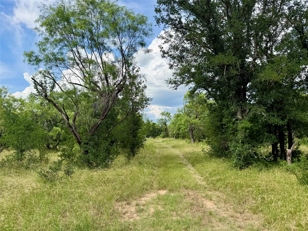 2840 County Road 404 Early, TX 76802