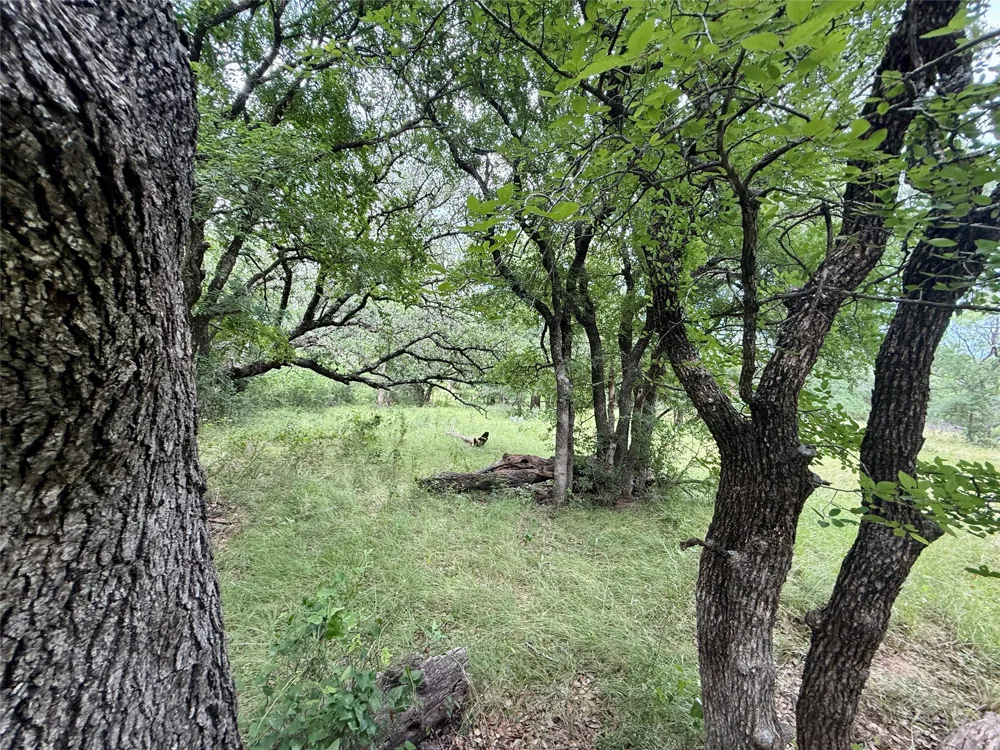 2840 County Road 404 Early, TX 76802