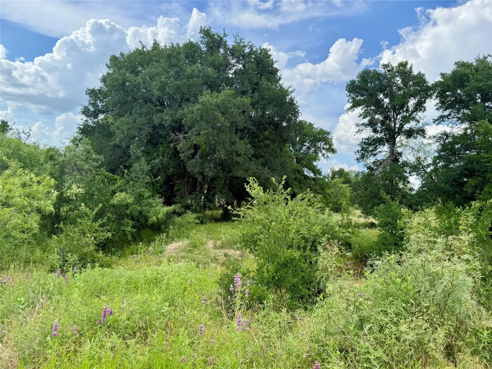 2840 County Road 404 Early, TX 76802