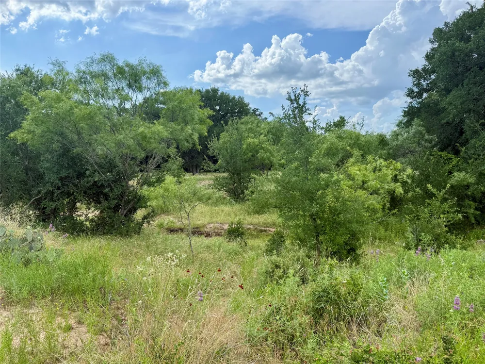 2840 County Road 404 Early, TX 76802