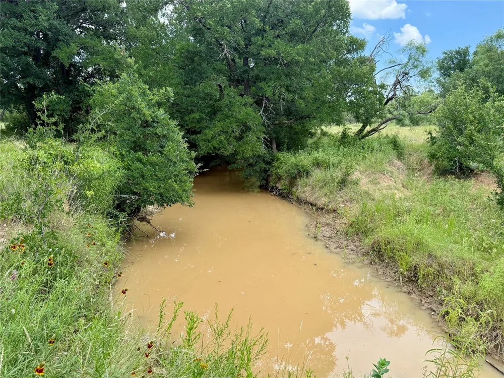 2840 County Road 404 Early, TX 76802