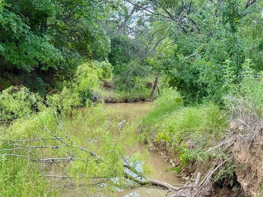 2840 County Road 404 Early, TX 76802