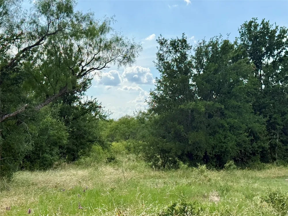 2840 County Road 404 Early, TX 76802