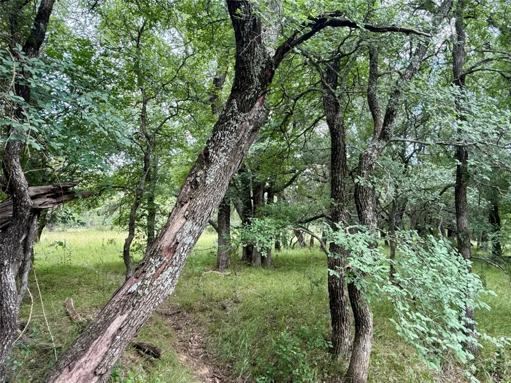 2840 County Road 404 Early, TX 76802