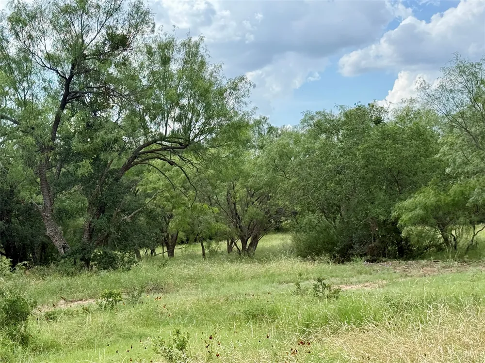 2840 County Road 404 Early, TX 76802