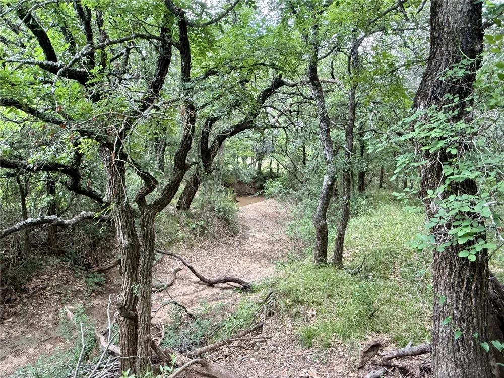 2840 County Road 404 Early, TX 76802