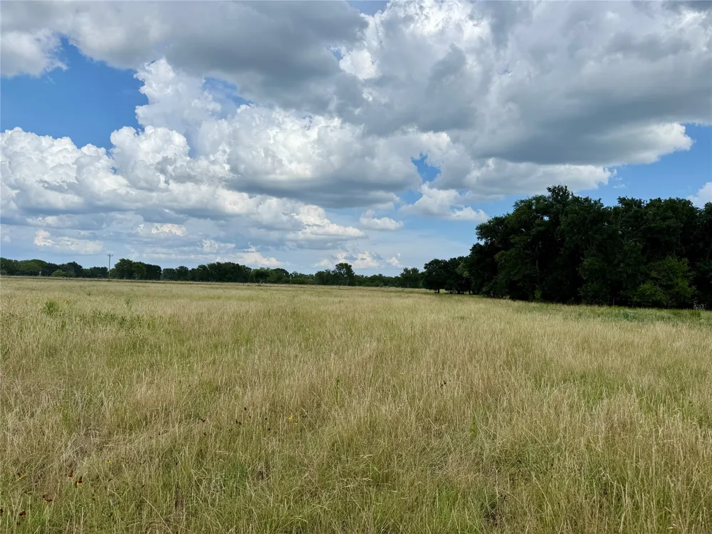 2840 County Road 404 Early, TX 76802