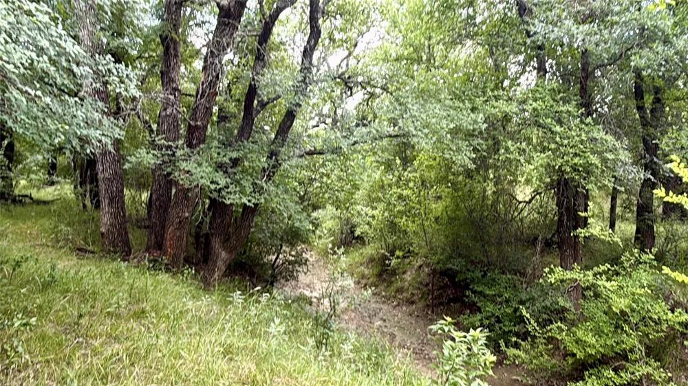 2840 County Road 404 Early, TX 76802