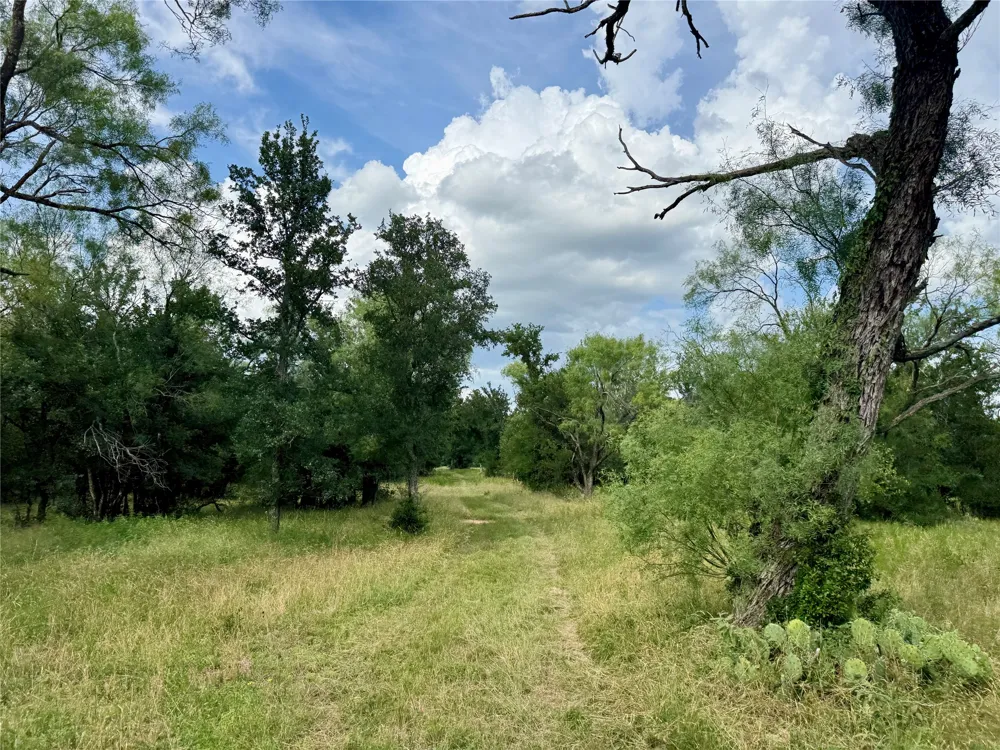2840 County Road 404 Early, TX 76802