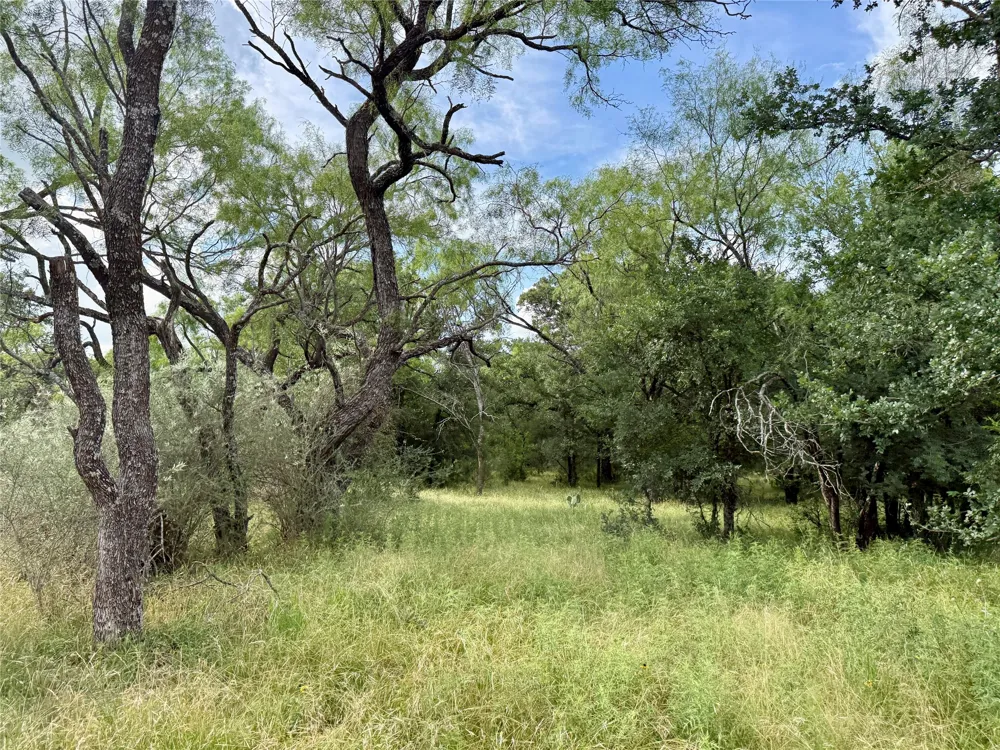 2840 County Road 404 Early, TX 76802