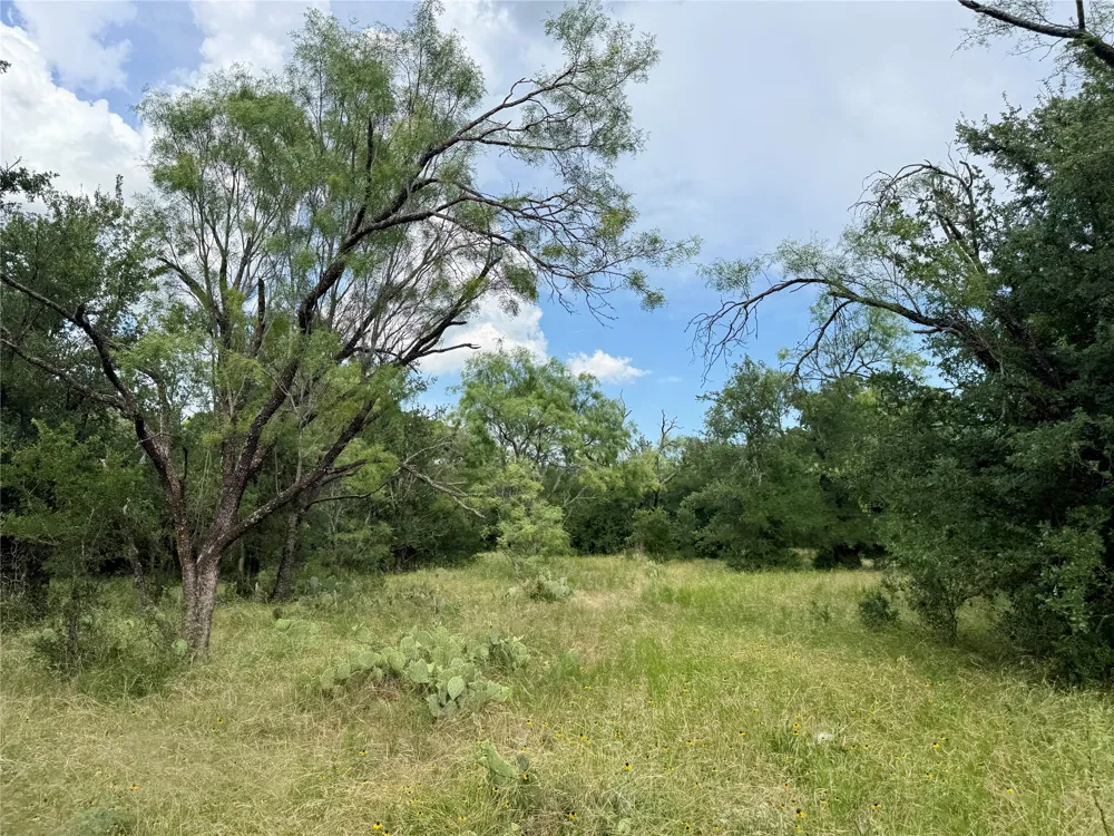 2840 County Road 404 Early, TX 76802
