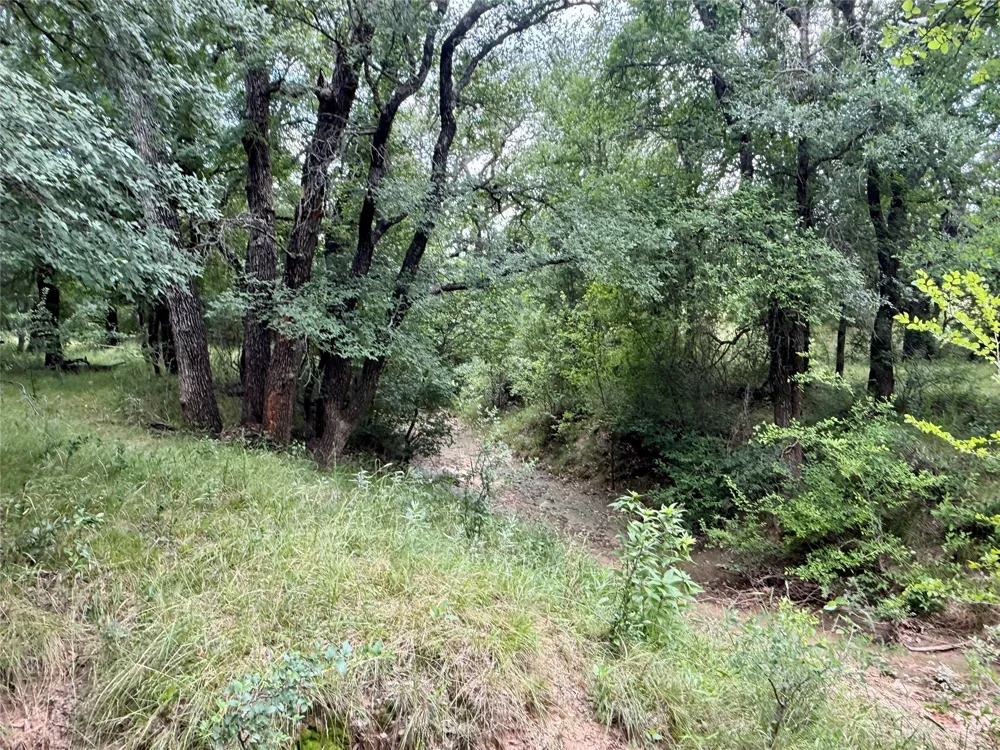 2840 County Road 404 Early, TX 76802