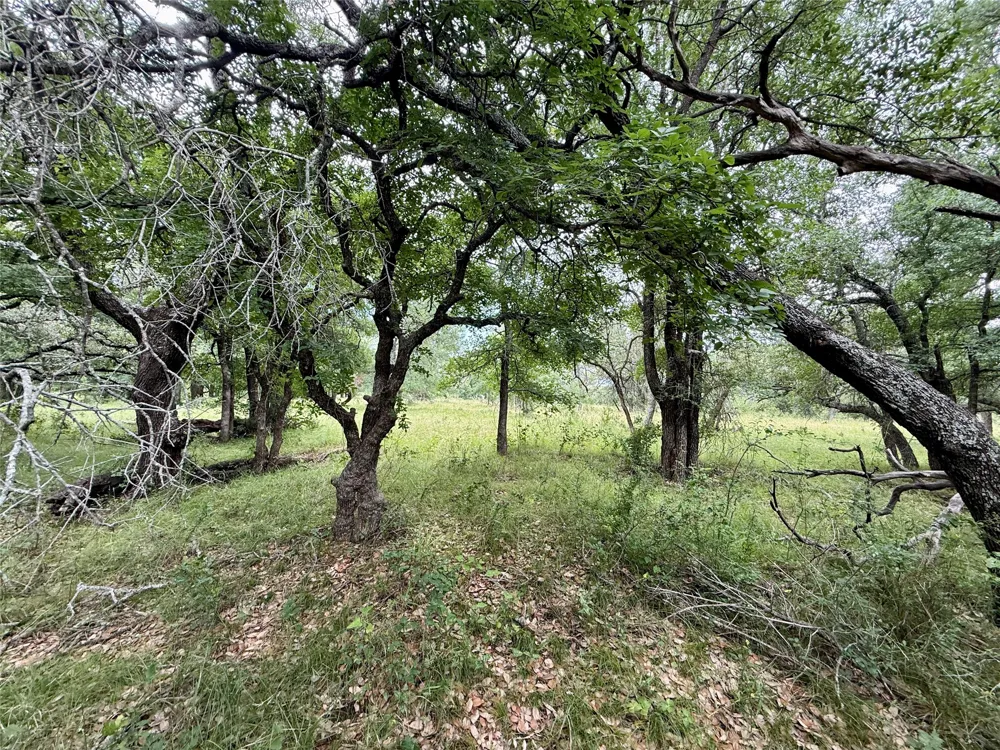 2840 County Road 404 Early, TX 76802