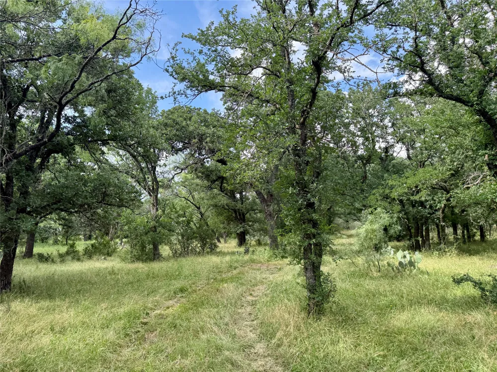 2840 County Road 404 Early, TX 76802