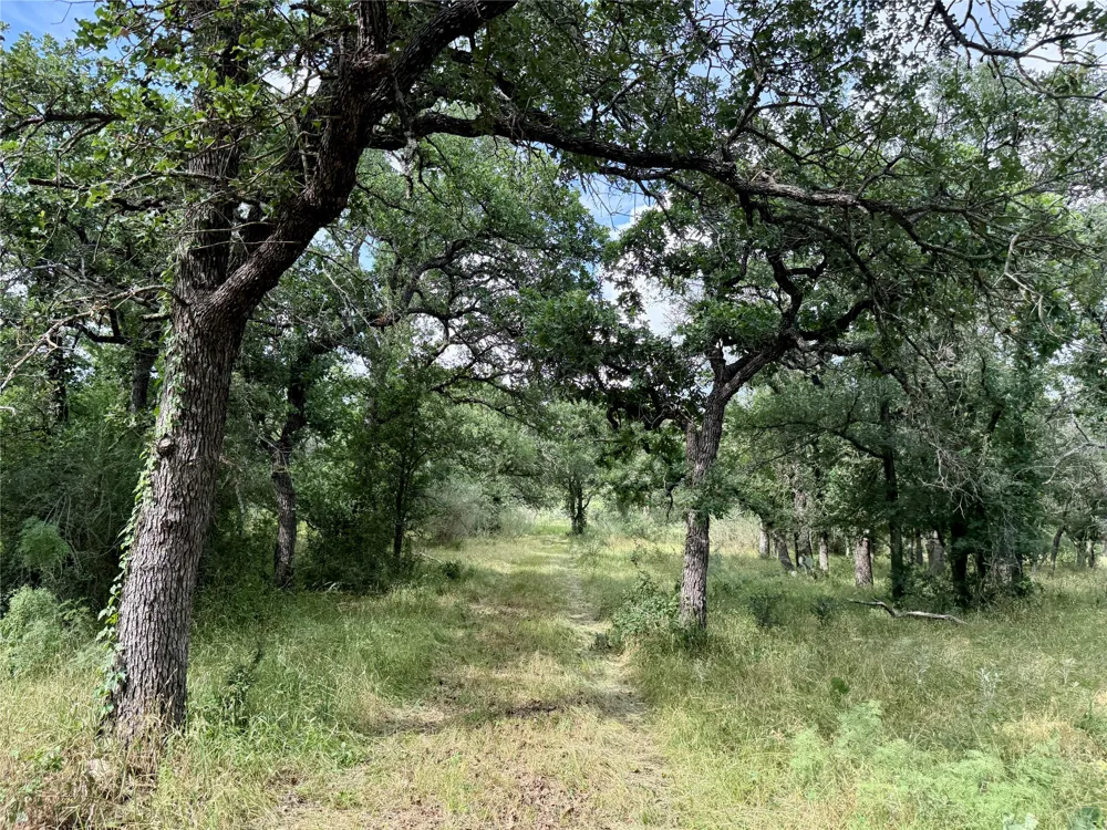 2840 County Road 404 Early, TX 76802