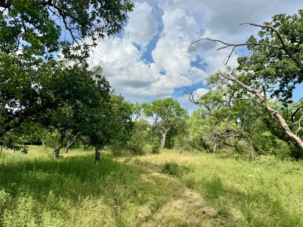 2840 County Road 404 Early, TX 76802