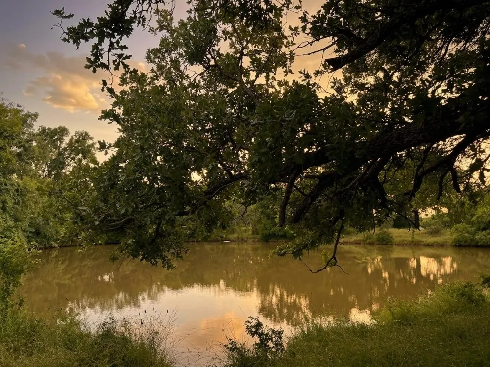 2840 County Road 404 Early, TX 76802