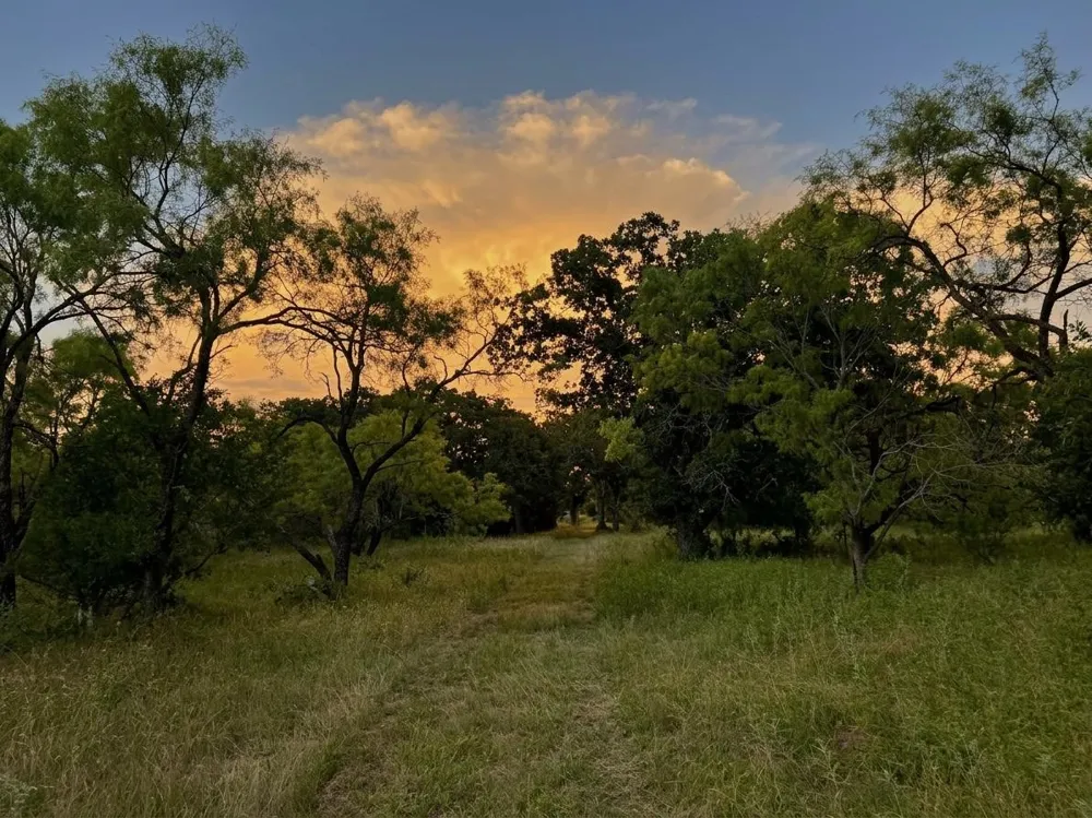 2840 County Road 404 Early, TX 76802