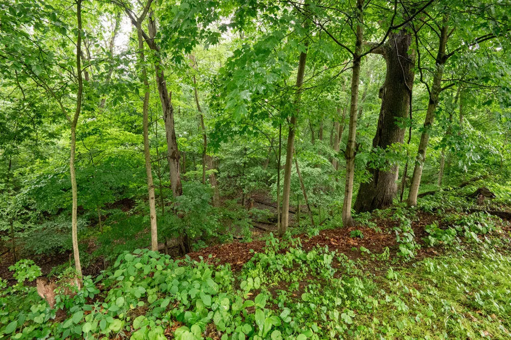 436 E Division Street Dowagiac City, MI 49047