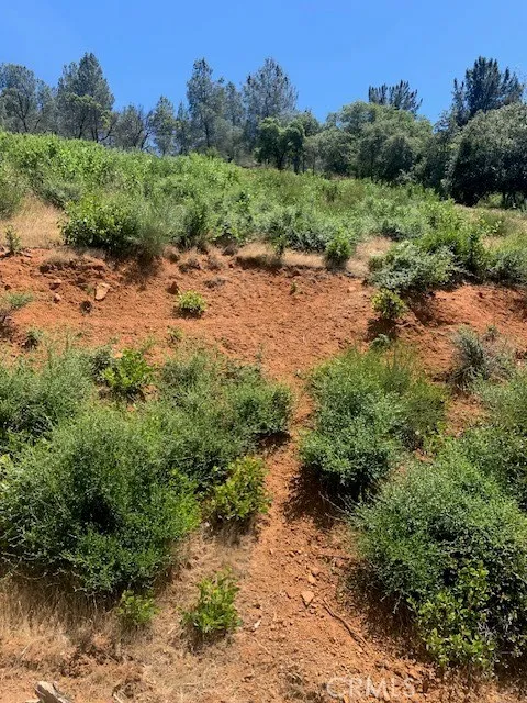 3150 Skyline Kelseyville, CA 95451