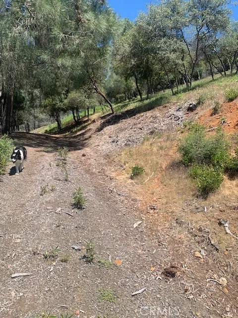 3150 Skyline Kelseyville, CA 95451