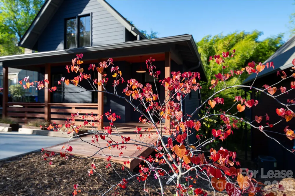 12 Waverly Road Asheville, NC 28803