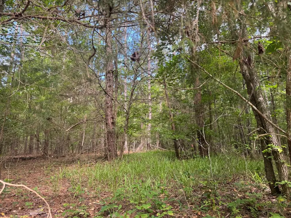 0 Melody Drive Waverly Hall, GA 31831